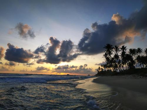 Surf Rest