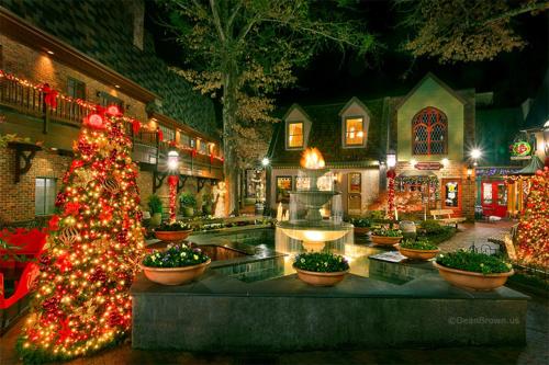 在meiguo.com看到的Angler's Perch #2523 - Two Bedroom Cabin的介绍图片