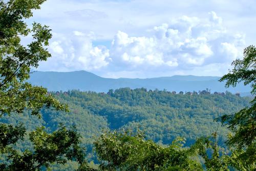 在meiguo.com看到的A View For All Seasons #405 - Four Bedroom Cabin的介绍图片