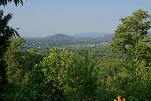 在meiguo.com看到的A Grand View From Above #225 - Two Bedroom Cabin的介绍图片