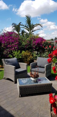 Garden, Oxford Rise Apartment in Wantirna Garden, Oxford Rise Apartment in Wantirna