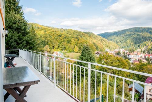 Vila Alegria in Busteni Vila Alegria in Busteni