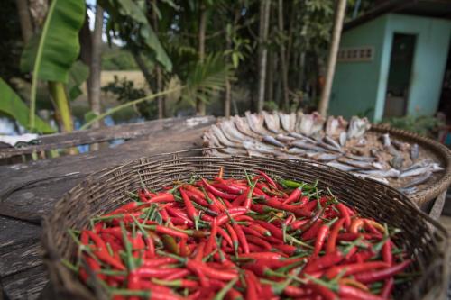 Chansor Homestay 9 By Siem Reap Homesteading in Sot Nikum Chansor Homestay 9 By Siem Reap Homesteading in Sot Nikum