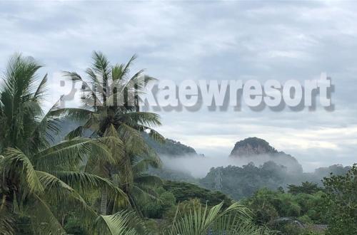 Lingkungan sekitar, Palm Kaew Resort Krabi in Ban Nai Chong Lingkungan sekitar, Palm Kaew Resort Krabi in Ban Nai Chong