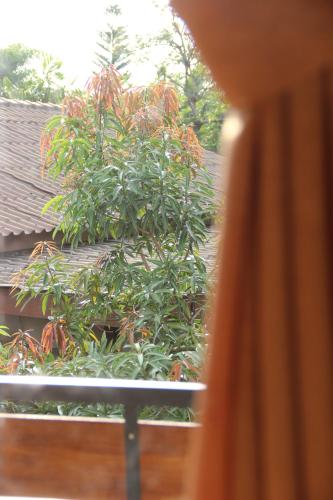 Balcony/terrace, Bamboe Inn Homestay in Bandar Lampung Balcony/terrace, Bamboe Inn Homestay in Bandar Lampung
