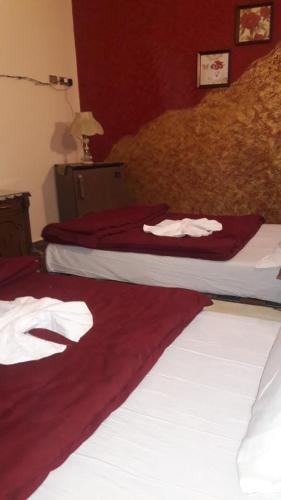 This photo about Pharaohs Palace Hotel shared on HyHotel.com