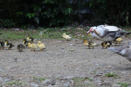 This photo about Fireside Inn and Grill shared on HyHotel.com