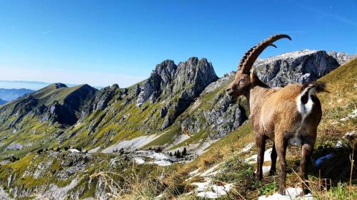 This photo about Hotel Le Ferraillon shared on HyHotel.com