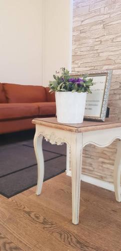 Apotek Guesthouse in Hofn Apotek Guesthouse in Hofn