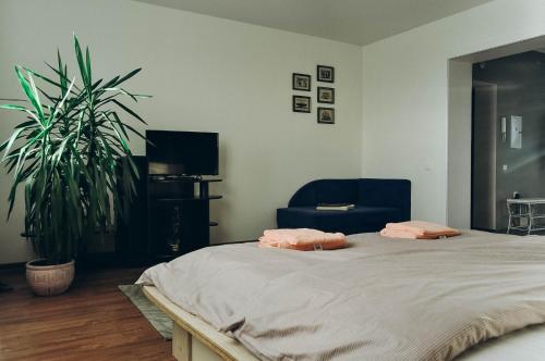 Apartment Pinsk in Pinsk Apartment Pinsk in Pinsk