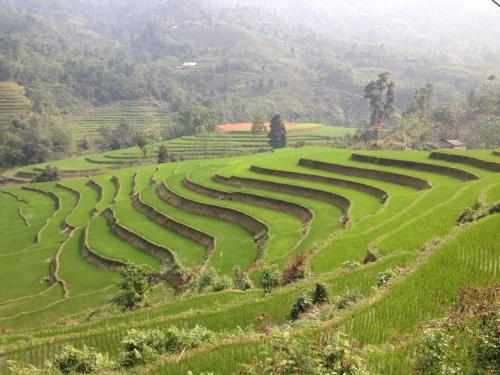 Ngan Nga Bac Ha Hotel in Bac Ha (Lao Cai) Ngan Nga Bac Ha Hotel in Bac Ha (Lao Cai)
