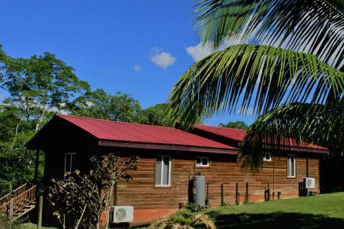 Vista exterior, The Log Cab-Inn in San Ignacio Vista exterior, The Log Cab-Inn in San Ignacio