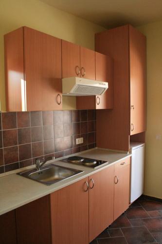 ห้องครัว, Matra Kemping Apartmanok in ยอนยอส ห้องครัว, Matra Kemping Apartmanok in ยอนยอส