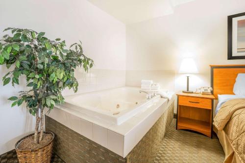 Seadmed, Lake Mead Inn in Boulder linn Seadmed, Lake Mead Inn in Boulder linn