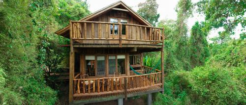 Tacuapi Lodge in 아리스토불로 델 바예 Tacuapi Lodge in 아리스토불로 델 바예