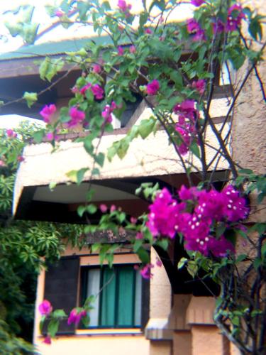 Balcony/terrace, M Villa’s Farm Resort in Romblon Balcony/terrace, M Villa’s Farm Resort in Romblon