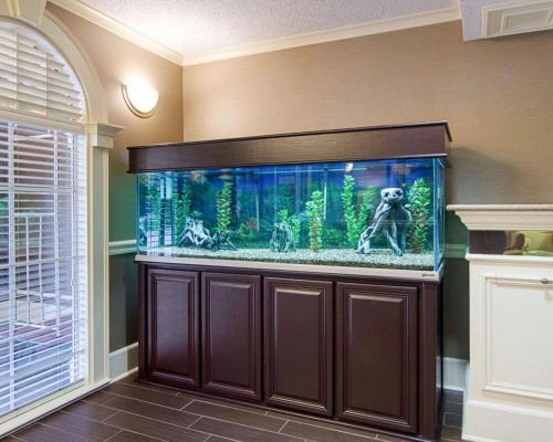 Hall, Quality Inn & Suites Little Rock West in Little Rock (AR) Hall, Quality Inn & Suites Little Rock West in Little Rock (AR)