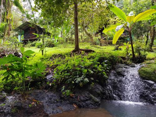 Garden, Sukia Hostel in Drake Bay Garden, Sukia Hostel in Drake Bay