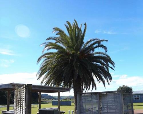 This photo about Raglan Holiday Park shared on HyHotel.com
