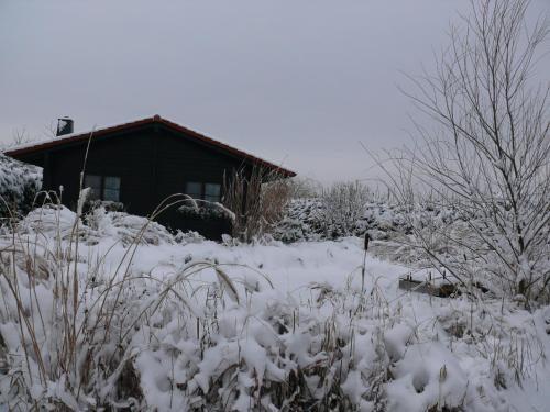 Ferienhaus Hohenlubast in Gräfenhainichen Ferienhaus Hohenlubast in Gräfenhainichen