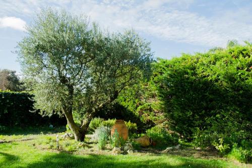 Jardí, B&B Tina de Pacs, close to local wineries in Pacs del Penedes Jardí, B&B Tina de Pacs, close to local wineries in Pacs del Penedes