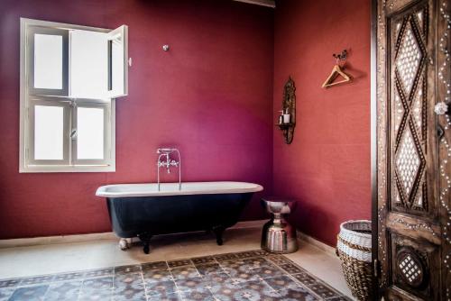 Dar Camelia in Sour Dar Camelia in Sour