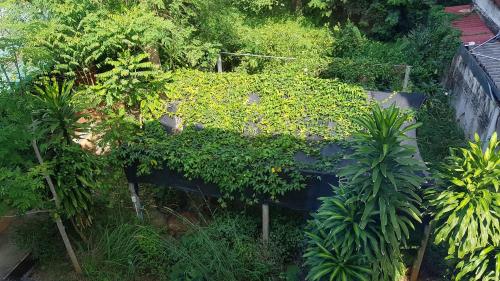 This photo about Elephants End Guesthouse Krabi shared on HyHotel.com