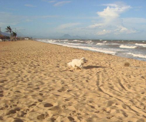 Get Imagens da praia do verao Free
