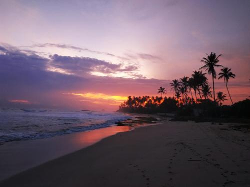 Tharu Surf Villa