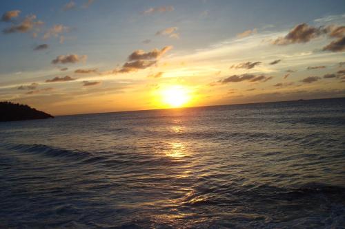 المنظر الخارجي, Calabash Cottage in Five Islands المنظر الخارجي, Calabash Cottage in Five Islands