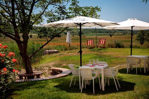 Vrt, Hotel Gracanica in Gračanica Vrt, Hotel Gracanica in Gračanica