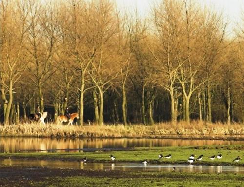 This photo about Hotel Castle Vetrov-Castle Hotel Collection shared on HyHotel.com