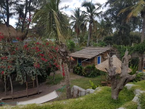 Baraka LDA in Vilanculos Baraka LDA in Vilanculos