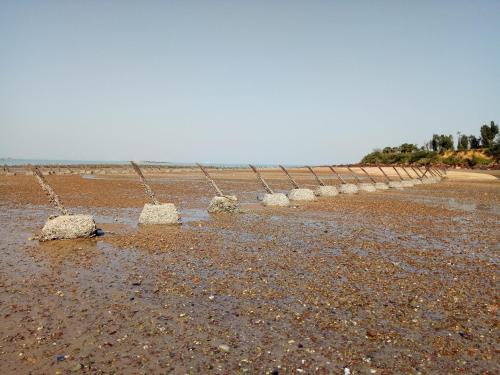 Beach, Xiao Jinmen Homestay in Lieyu Township Beach, Xiao Jinmen Homestay in Lieyu Township