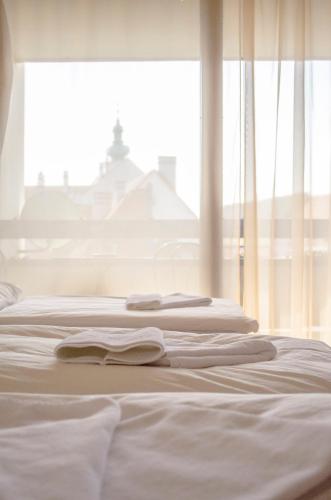 Hotel Konferencia