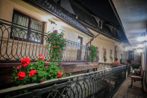 Vedere, Drachenhaus in Brașov Vedere, Drachenhaus in Brașov