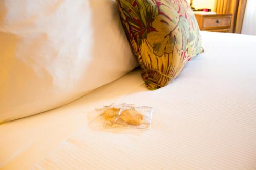 在meiguo.com看到的火山宾馆的介绍图片