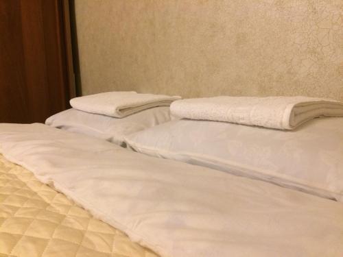 Hotel Apartment on Kirova 49