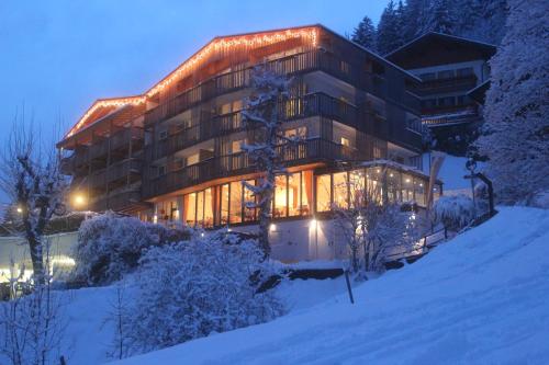 Hotel Mounthotel Niggl