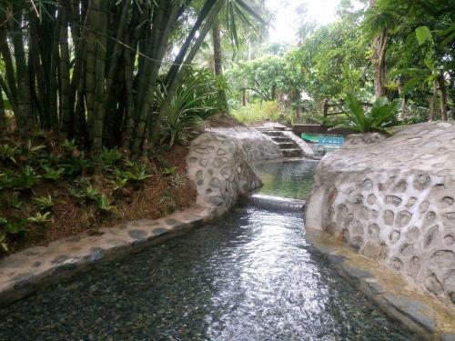 Surrounding environment, Batis ni Juan Leisureland in Dipaculao Surrounding environment, Batis ni Juan Leisureland in Dipaculao