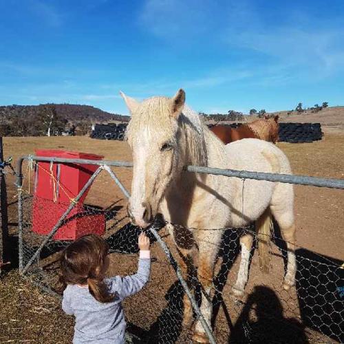 This photo about Alpine Country Motel shared on HyHotel.com