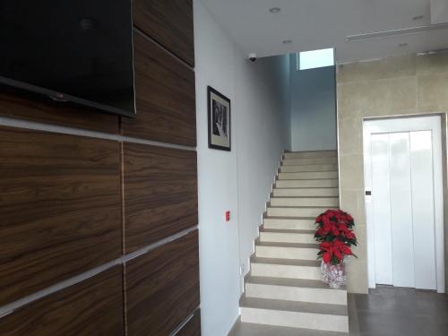 Вхід, TJ Boutique in Марсаскала Вхід, TJ Boutique in Марсаскала