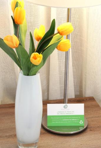 This photo about Hotel Capital San Pablo shared on HyHotel.com