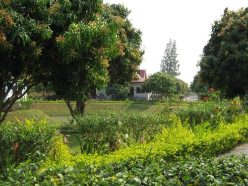 This photo about mango spa shared on HyHotel.com