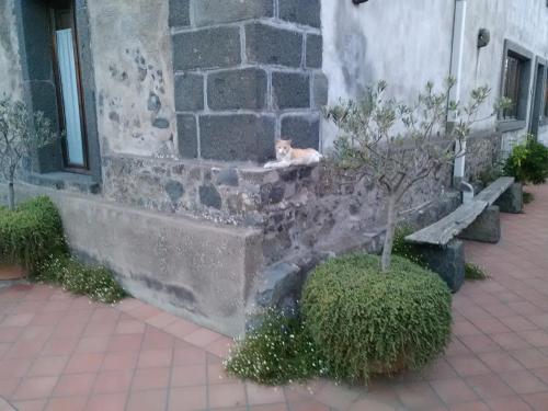 This photo about La Pietra Antica O' Munti shared on HyHotel.com