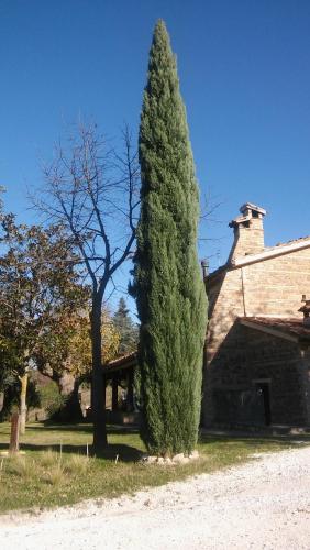 Exterior view, Agriturismo il Bacucco in Montecarotto Exterior view, Agriturismo il Bacucco in Montecarotto