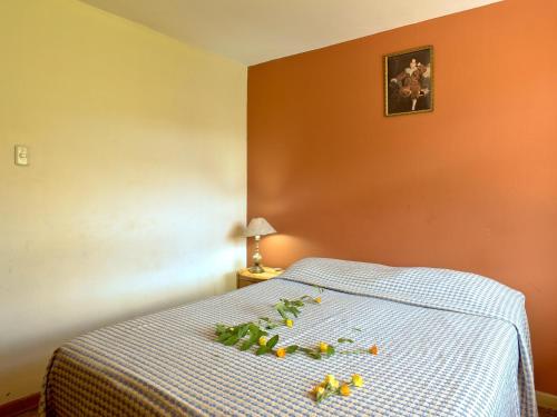 Hotel Diaz Del Mar Guest House Cusco