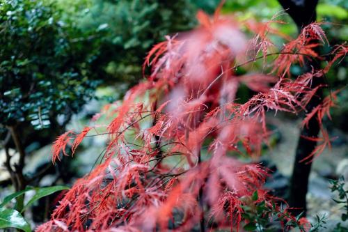 Kert, Casa de Turismo Rural Sabariz in Sabariz Kert, Casa de Turismo Rural Sabariz in Sabariz