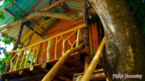 Entrance, Pinthu Home Stay in Sigiriya Entrance, Pinthu Home Stay in Sigiriya