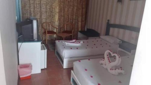 This photo about New Badawia Hotel shared on HyHotel.com